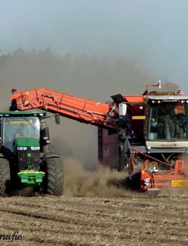 Mark Huijbregts Reusel afbeelding 5